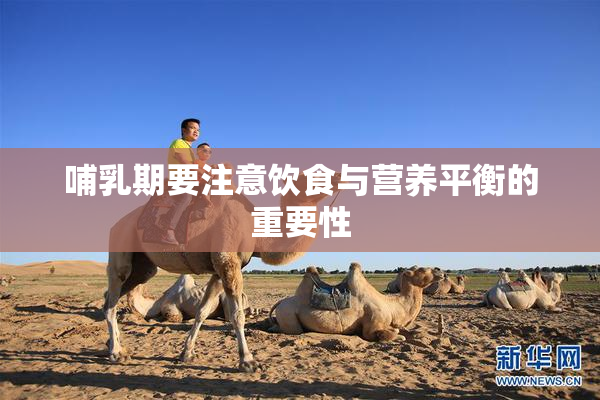 哺乳期要注意饮食与营养平衡的重要性