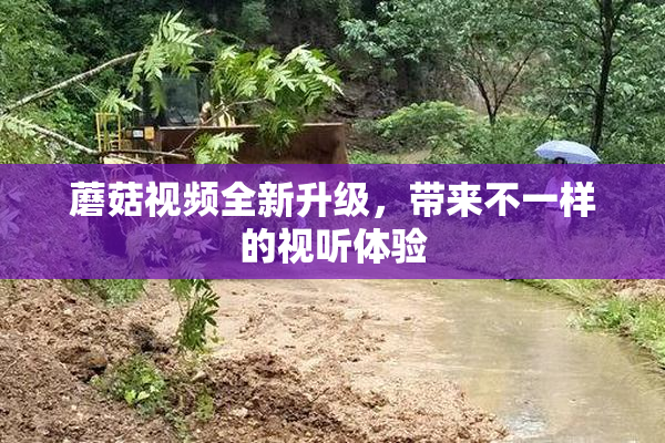 蘑菇视频全新升级，带来不一样的视听体验