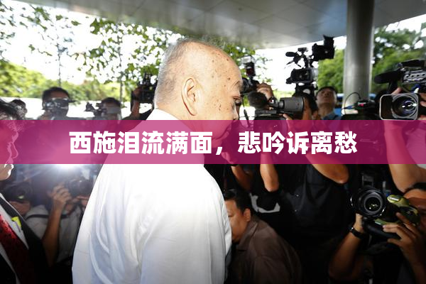 西施泪流满面，悲吟诉离愁