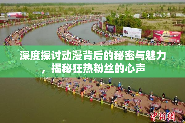 深度探讨动漫背后的秘密与魅力，揭秘狂热粉丝的心声