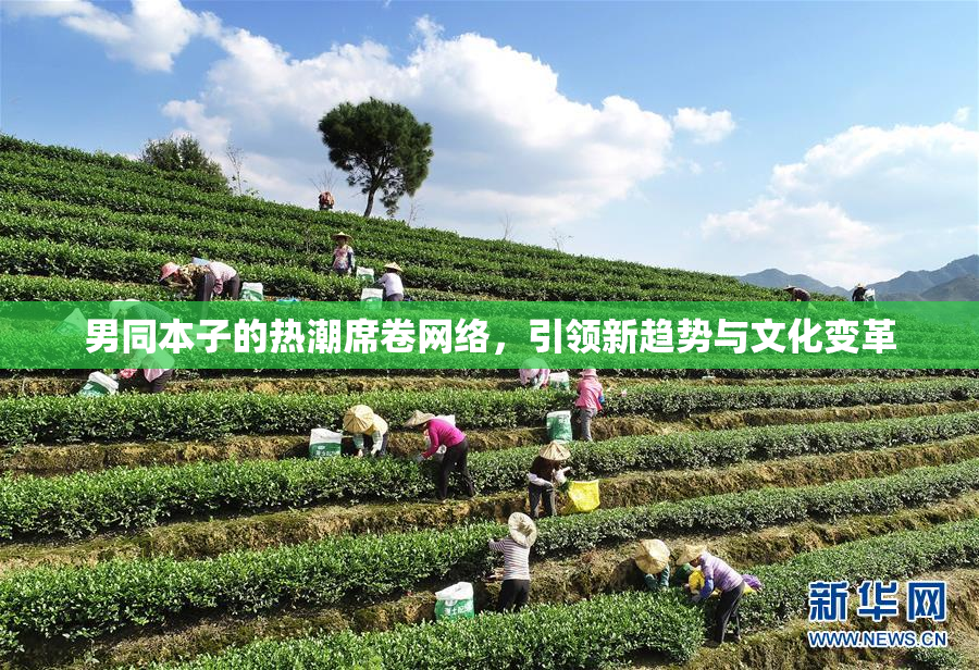 男同本子的热潮席卷网络，引领新趋势与文化变革