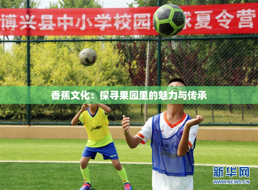 香蕉文化：探寻果园里的魅力与传承