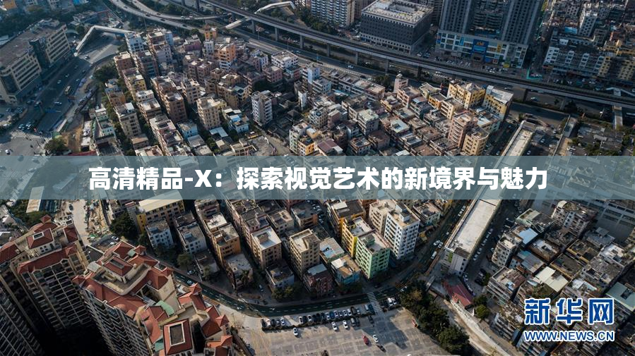 高清精品-X：探索视觉艺术的新境界与魅力
