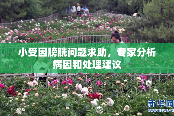 小受因膀胱问题求助，专家分析病因和处理建议