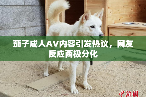 茄子成人AV内容引发热议，网友反应两极分化