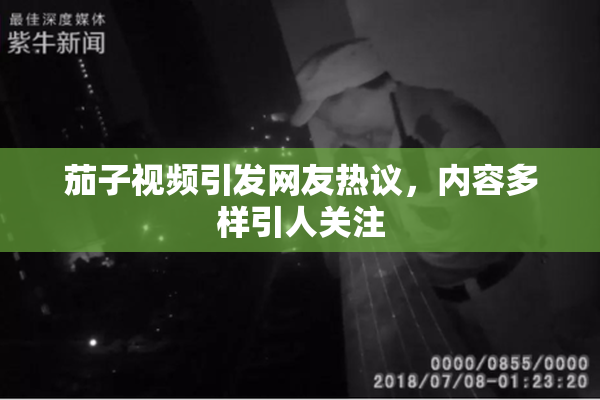茄子视频引发网友热议，内容多样引人关注