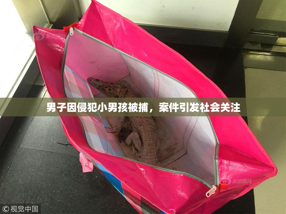 男子因侵犯小男孩被捕，案件引发社会关注