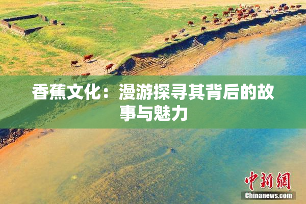 香蕉文化：漫游探寻其背后的故事与魅力
