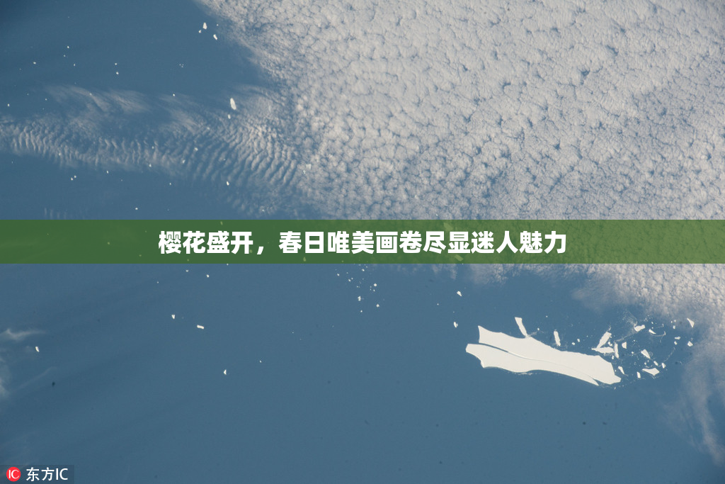 樱花盛开，春日唯美画卷尽显迷人魅力