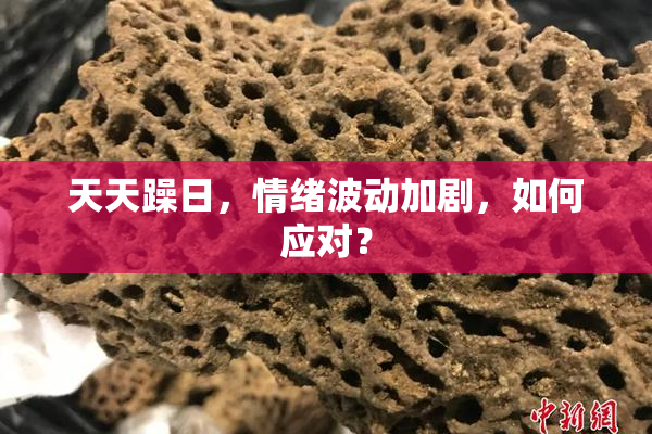 天天躁日，情绪波动加剧，如何应对？