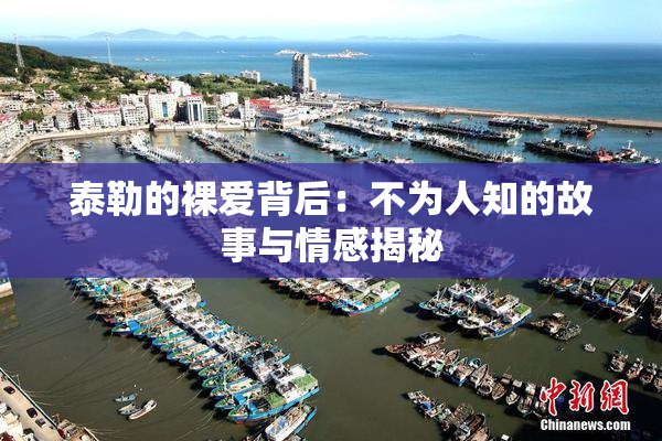泰勒的裸爱背后：不为人知的故事与情感揭秘