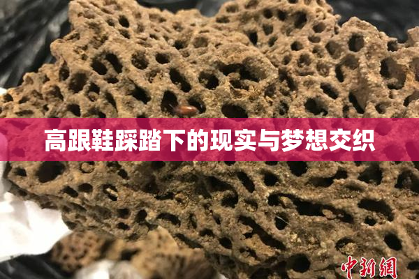 高跟鞋踩踏下的现实与梦想交织