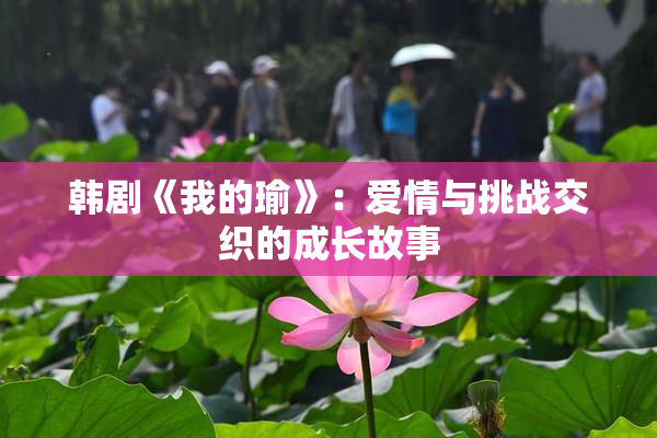 韩剧《我的瑜》：爱情与挑战交织的成长故事