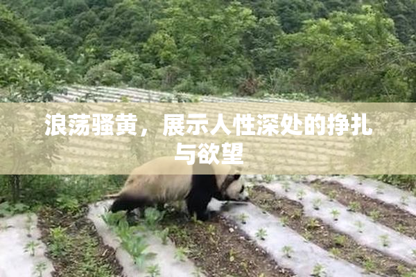 浪荡骚黄，展示人性深处的挣扎与欲望