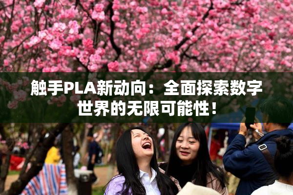 触手PLA新动向：全面探索数字世界的无限可能性！