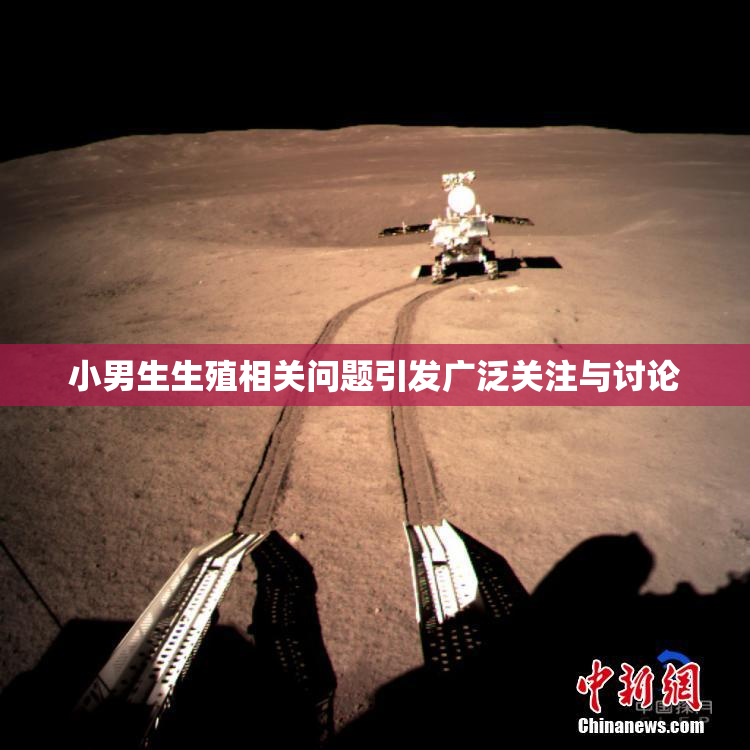 小男生生殖相关问题引发广泛关注与讨论
