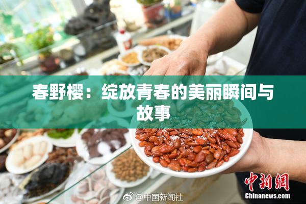 春野樱：绽放青春的美丽瞬间与故事