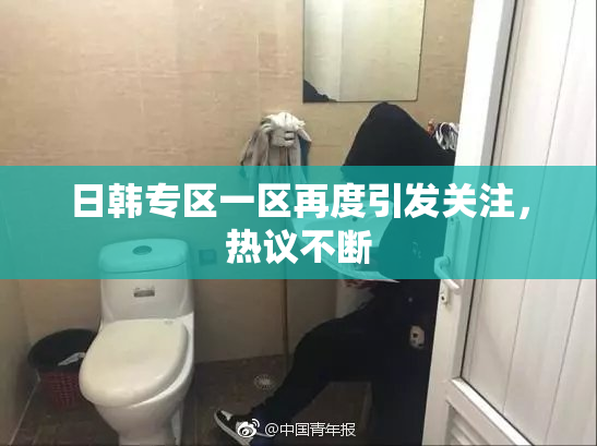 日韩专区一区再度引发关注，热议不断