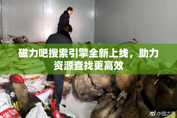 磁力吧搜索引擎全新上线，助力资源查找更高效