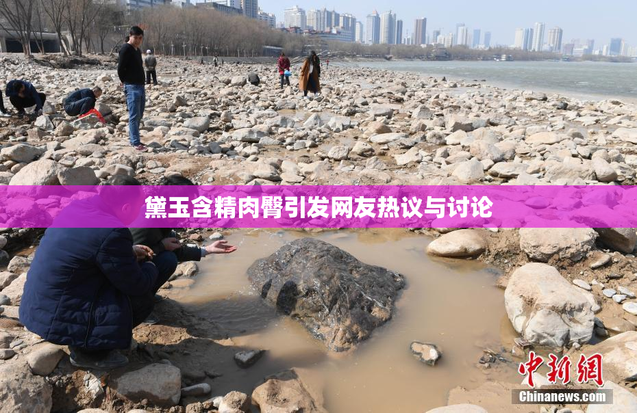 黛玉含精肉臀引发网友热议与讨论