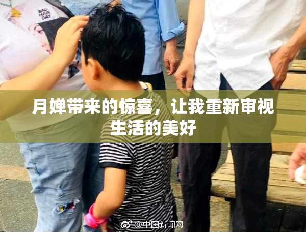 月婵带来的惊喜，让我重新审视生活的美好