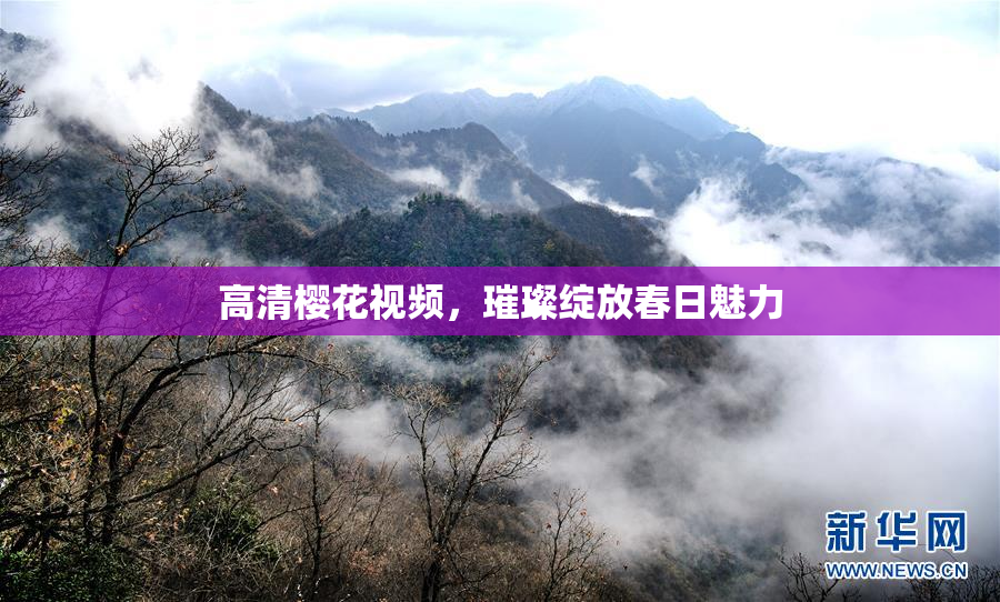 高清樱花视频，璀璨绽放春日魅力