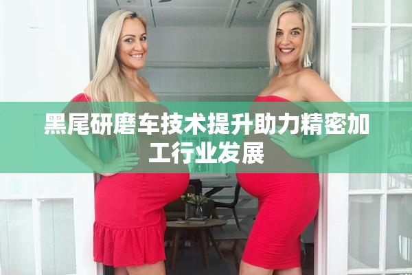 黑尾研磨车技术提升助力精密加工行业发展