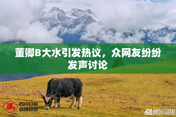 董卿B大水引发热议，众网友纷纷发声讨论