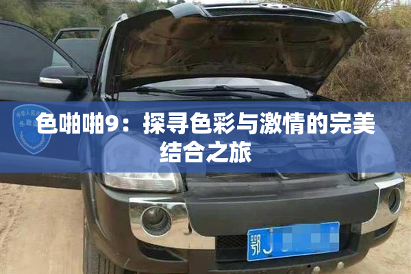 色啪啪9：探寻色彩与激情的完美结合之旅