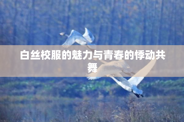 白丝校服的魅力与青春的悸动共舞