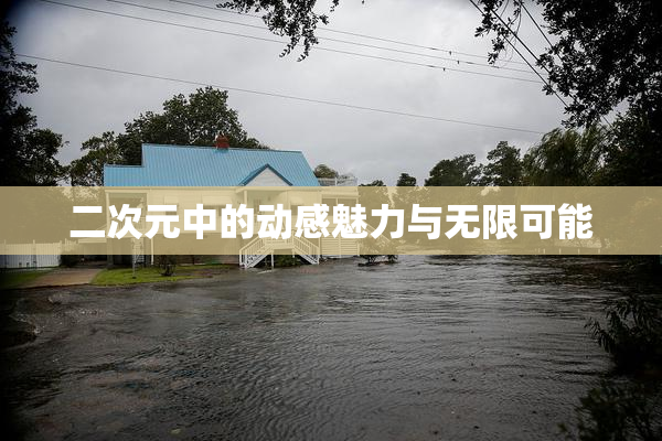 二次元中的动感魅力与无限可能