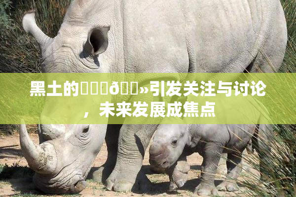 黑土的❌‌‌🐻引发关注与讨论，未来发展成焦点
