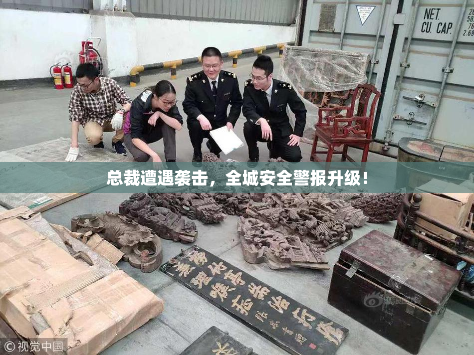 总裁遭遇袭击，全城安全警报升级！