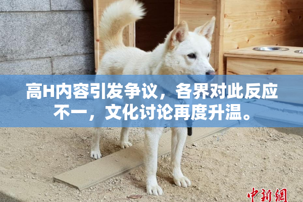 高H内容引发争议，各界对此反应不一，文化讨论再度升温。