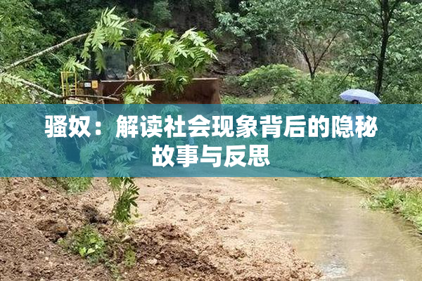 骚奴：解读社会现象背后的隐秘故事与反思