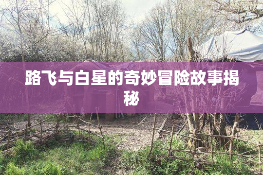 路飞与白星的奇妙冒险故事揭秘