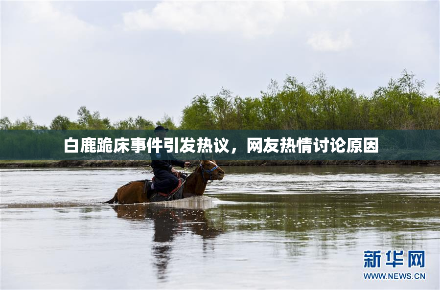 白鹿跪床事件引发热议，网友热情讨论原因