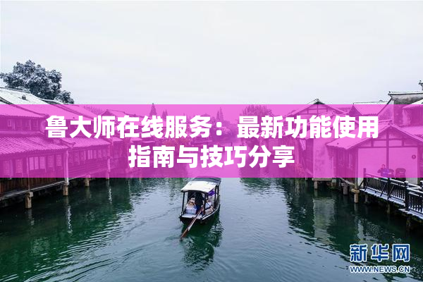 鲁大师在线服务：最新功能使用指南与技巧分享