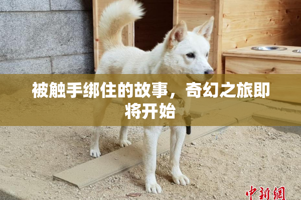 被触手绑住的故事，奇幻之旅即将开始