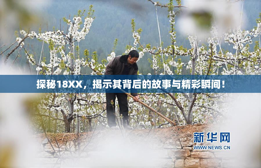 探秘18XX，揭示其背后的故事与精彩瞬间！