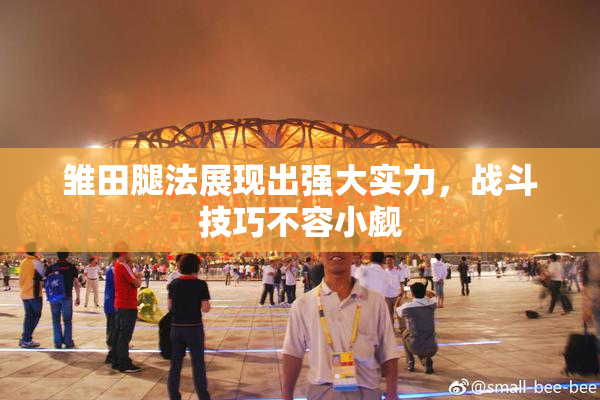 雏田腿法展现出强大实力，战斗技巧不容小觑