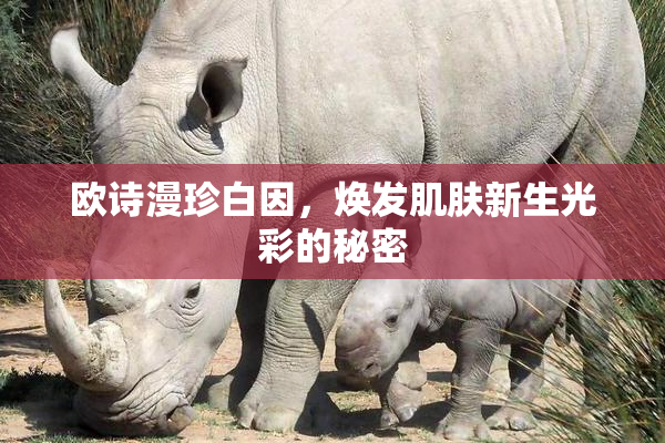 欧诗漫珍白因，焕发肌肤新生光彩的秘密
