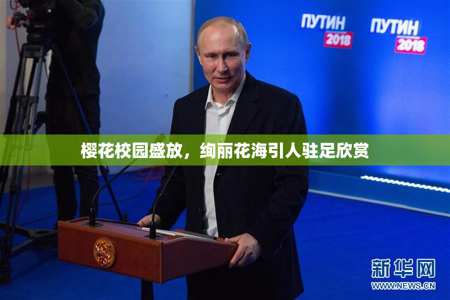 樱花校园盛放，绚丽花海引人驻足欣赏