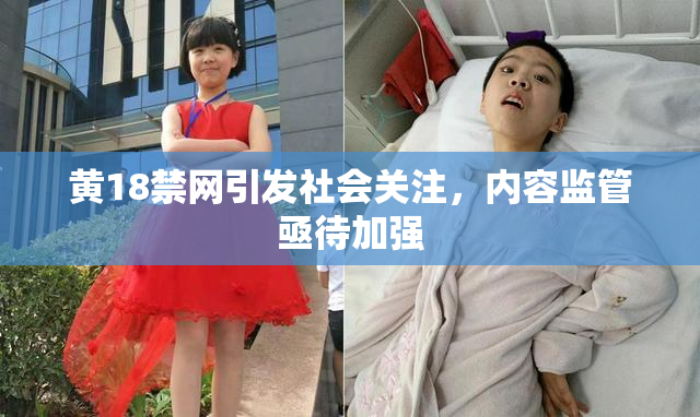 黄18禁网引发社会关注，内容监管亟待加强