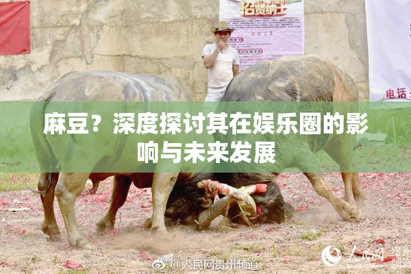 麻豆？深度探讨其在娱乐圈的影响与未来发展
