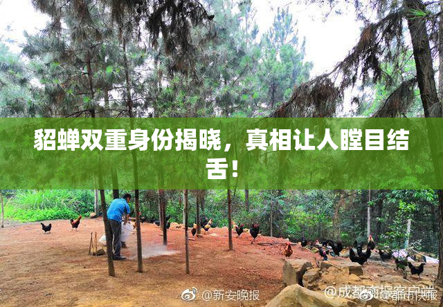 貂蝉双重身份揭晓，真相让人瞠目结舌！
