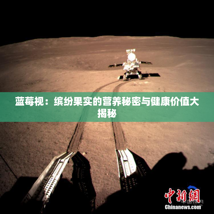 蓝莓视：缤纷果实的营养秘密与健康价值大揭秘
