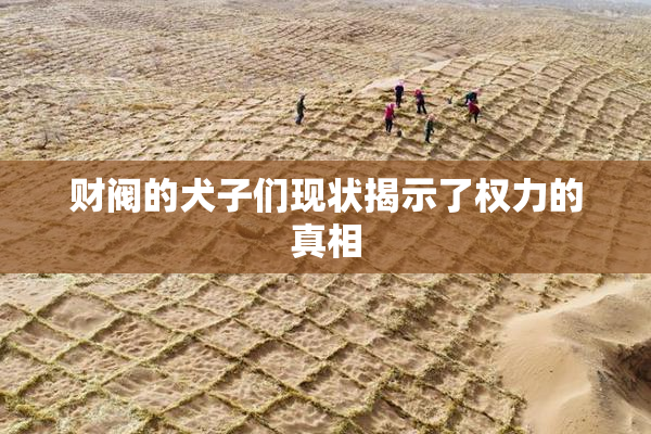 财阀的犬子们现状揭示了权力的真相