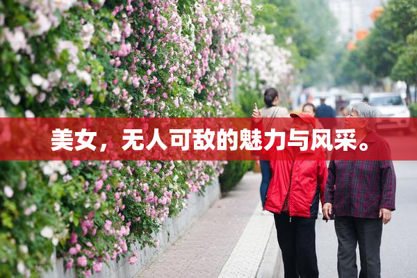 美女，无人可敌的魅力与风采。