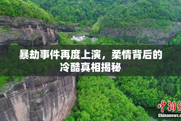 暴劫事件再度上演，柔情背后的冷酷真相揭秘